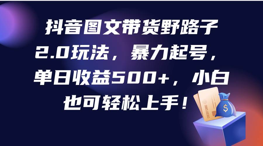 抖音图文带货野路子2.0玩法，暴力起号，单日收益500+，小白也可轻松上手！-九节课