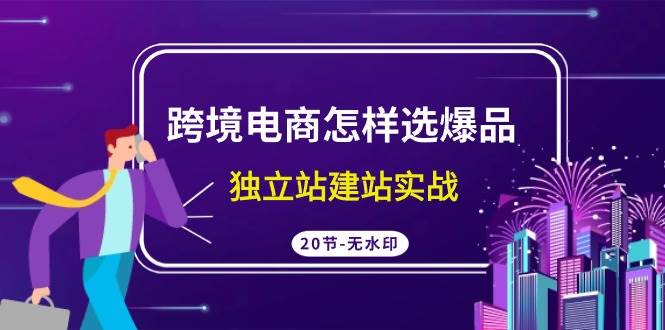 跨境电商怎样选爆品，独立站建站实战（20节高清无水印课）-九节课