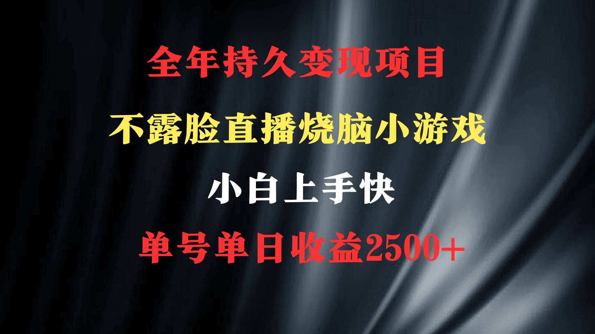 2024年 最优项目，烧脑小游戏不露脸直播  小白上手快 无门槛 一天收益2500+-九节课