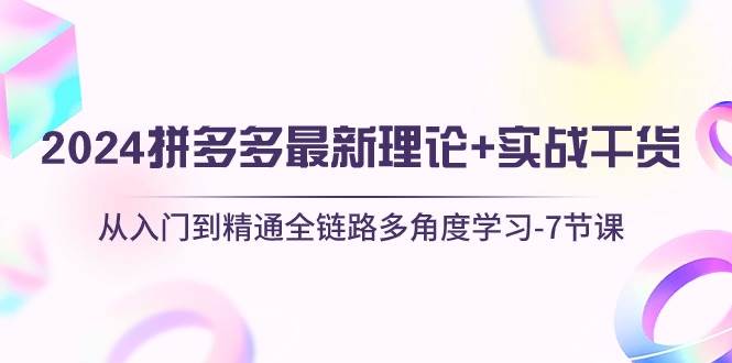 2024拼多多 最新理论+实战干货，从入门到精通全链路多角度学习-7节课-九节课