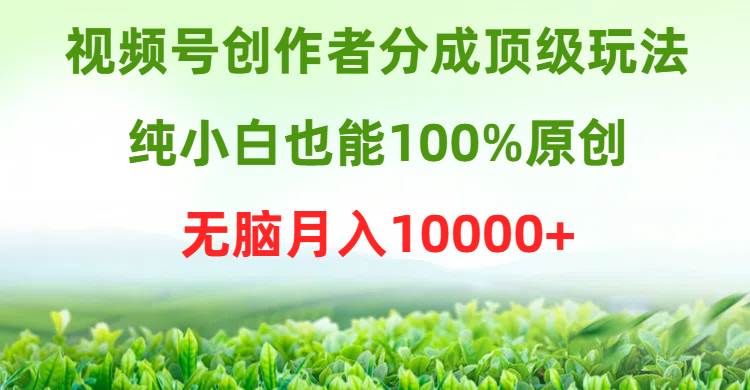 视频号创作者分成顶级玩法，纯小白也能100%原创，无脑月入10000+-九节课