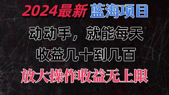 有手就行的2024全新蓝海项目，每天1小时收益几十到几百，可放大操作收…-九节课