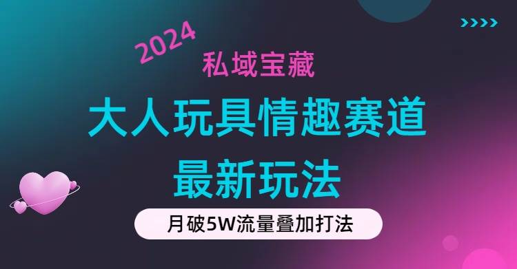 （11541期）私域宝藏：大人玩具情趣赛道合规新玩法，零投入，私域超高流量成单率高-九节课