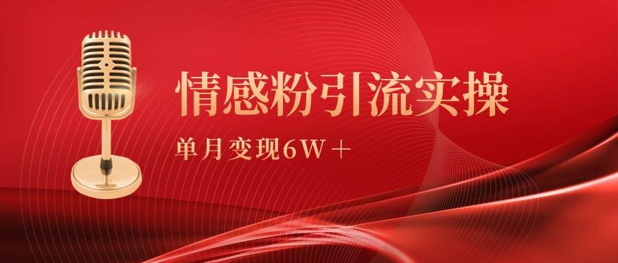 单月变现6w+，情感粉引流变现实操课-九节课