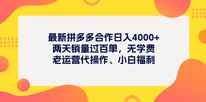 最新拼多多项目日入4000+两天销量过百单，无学费、老运营代操作、小白福利-九节课