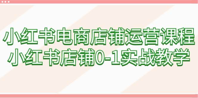 小红书电商店铺运营课程，小红书店铺0-1实战教学（60节课）-九节课