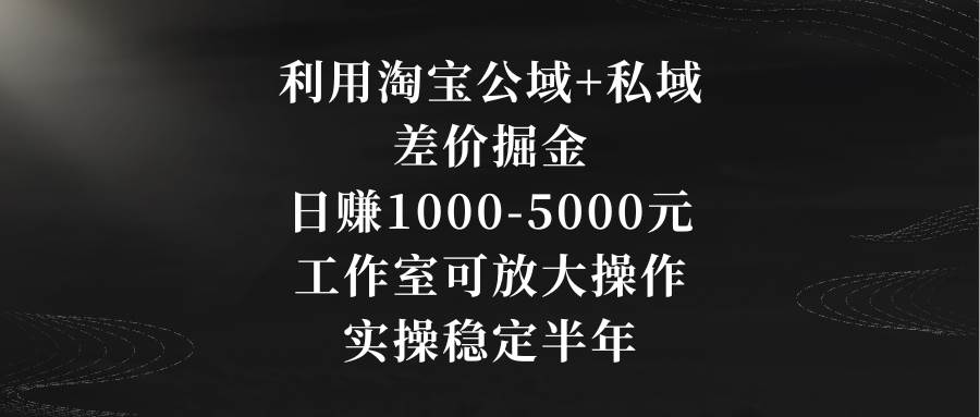 利用淘宝公域+私域差价掘金，日赚1000-5000元，工作室可放大操作，实操…-九节课