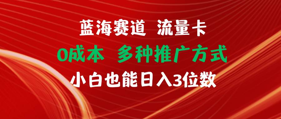 蓝海赛道 流量卡 0成本 小白也能日入三位数-九节课