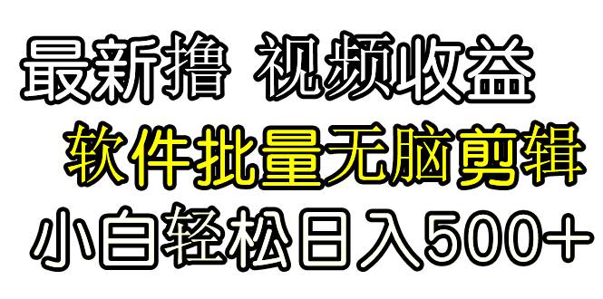 发视频撸收益，软件无脑批量剪辑，第一天发第二天就有钱-九节课