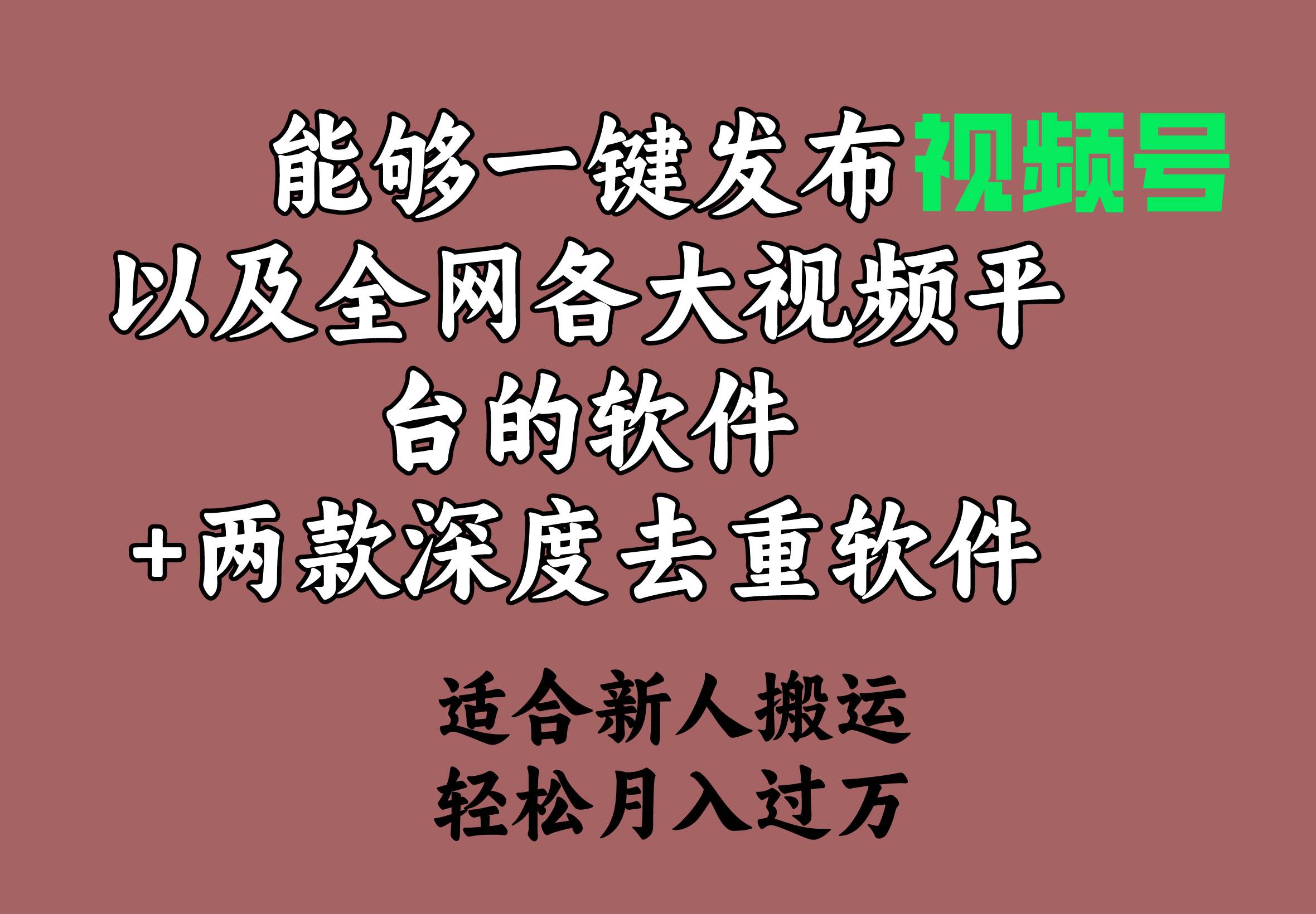 能够一键发布视频号以及全网各大视频平台的软件+两款深度去重软件 适合…-九节课