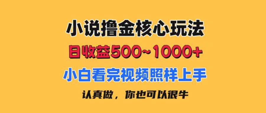 小说撸金核心玩法，日收益500-1000+，小白看完照样上手，0成本有手就行-九节课