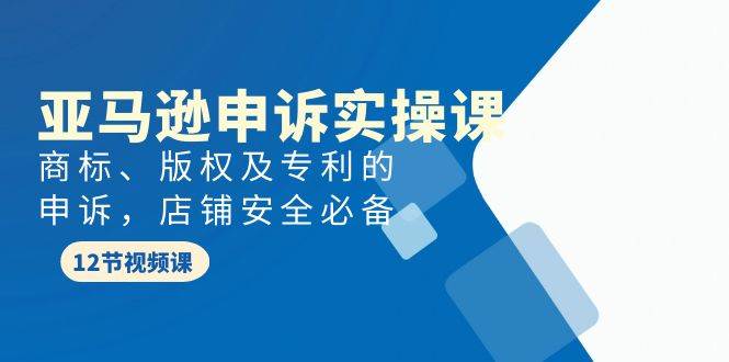 亚马逊-申诉实战课，商标、版权及专利的申诉，店铺安全必备-九节课