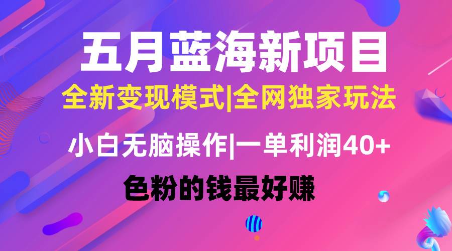 五月蓝海项目全新玩法，小白无脑操作，一天几分钟，矩阵操作，月入4万+-九节课