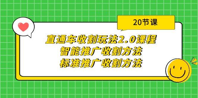 直通车收割玩法2.0课程：智能推广收割方法+标准推广收割方法（20节课）-九节课