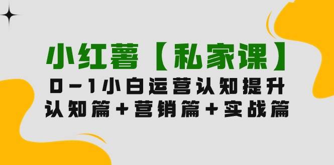 小红薯【私家课】0-1玩赚小红书内容营销，认知篇+营销篇+实战篇（11节课）-九节课