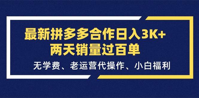 图片[1]-最新拼多多合作日入3K+两天销量过百单，无学费、老运营代操作、小白福利-九节课