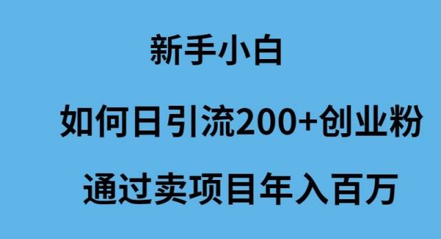 新手小白如何日引流200+创业粉通过卖项目年入百万-九节课