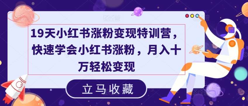 19天小红书涨粉变现特训营，快速学会小红书涨粉，月入十万轻松变现-九节课