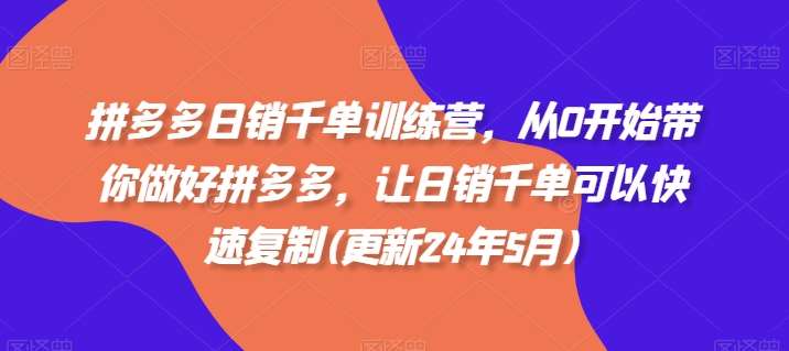 拼多多日销千单训练营，从0开始带你做好拼多多，让日销千单可以快速复制(更新24年7月)-九节课