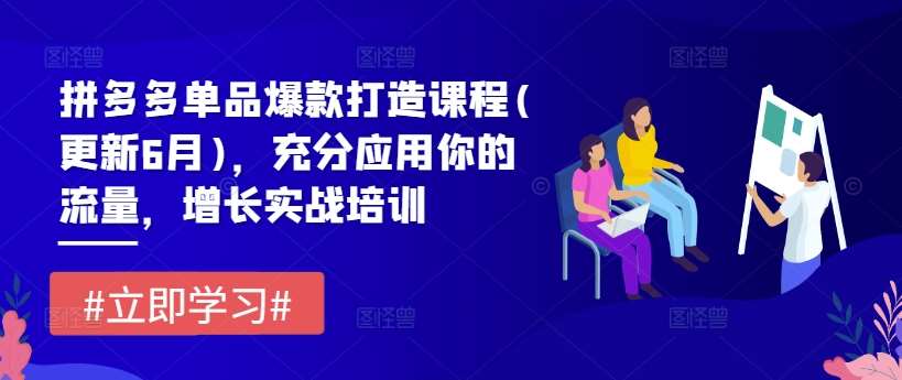 拼多多单品爆款打造课程(更新6月)，充分应用你的流量，增长实战培训-九节课