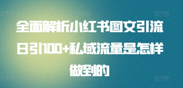 全面解析小红书图文引流日引100私域流量是怎样做到的-九节课