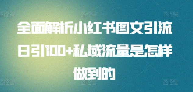 日引流100私域流量小红书图文是怎样做到的全面解析-九节课