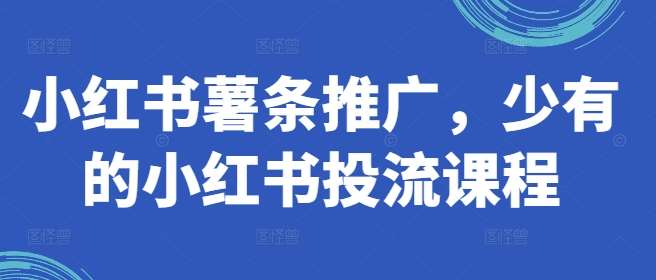 小红书薯条推广，少有的小红书投流课程-九节课