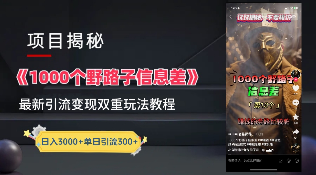 一千个野路子信息差24年最新玩法教程附带变现方法和引流的玩法具体拆解-九节课