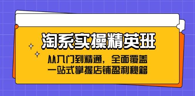 （12276期）淘系实操精英班：从入门到精通，全面覆盖，一站式掌握店铺盈利秘籍-九节课