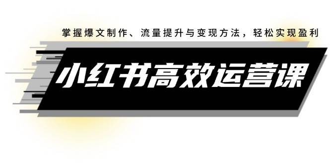 （12369期）小红书高效运营课：掌握爆文制作、流量提升与变现方法，轻松实现盈利-九节课