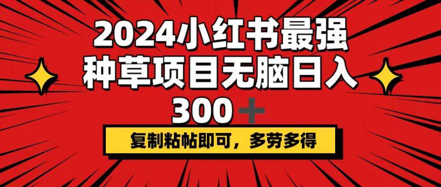 2024小红书最强种草项目，无脑日入300+，复制粘帖即可，多劳多得-九节课