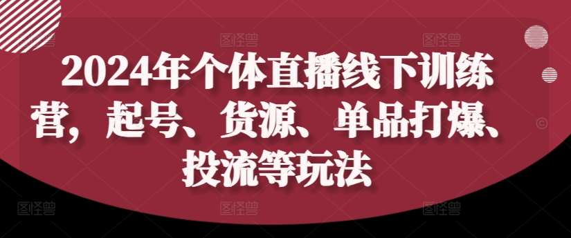 2024年个体直播训练营，起号、货源、单品打爆、投流等玩法-九节课