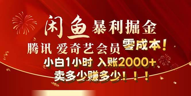 （12236期）闲鱼全新暴力掘金玩法，官方正品影视会员无成本渠道！小白1小时收…-九节课