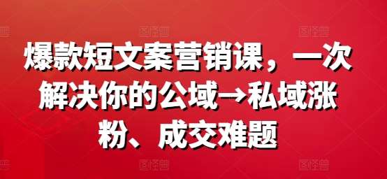 爆款短文案营销课，一次解决你的公域→私域涨粉、成交难题-九节课