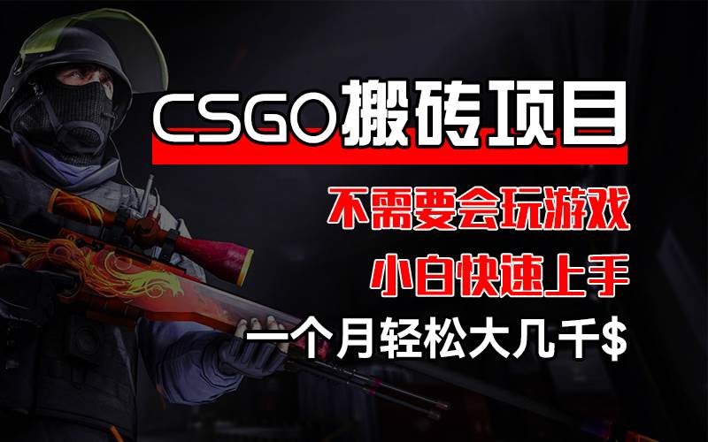 （12332期）CSGO 装备搬砖项目，操作简单，不需要会玩游戏，小白也能快速上手，一…-九节课