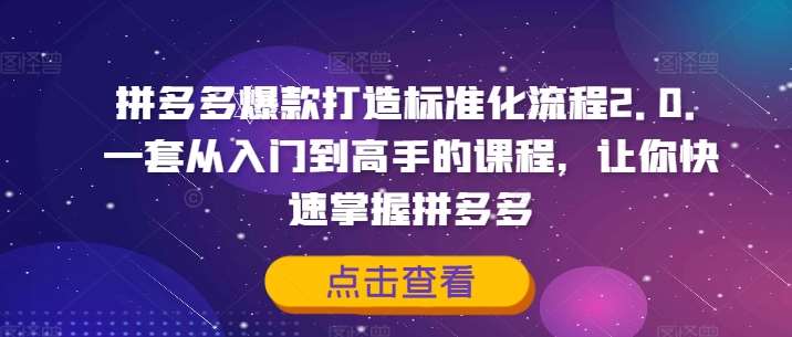 拼多多爆款打造标准化流程2.0，一套从入门到高手的课程，让你快速掌握拼多多-九节课