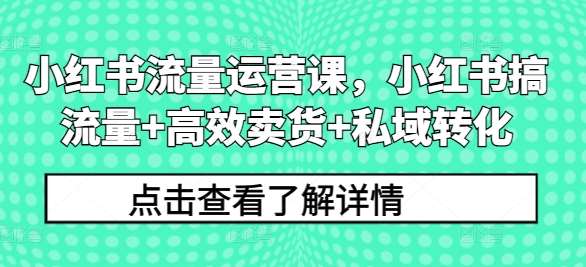 小红书流量运营课，小红书搞流量+高效卖货+私域转化-九节课