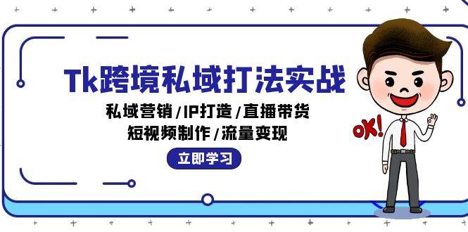 （12598期）Tk跨境私域打法实战：私域营销/IP打造/直播带货/短视频制作/流量变现-九节课