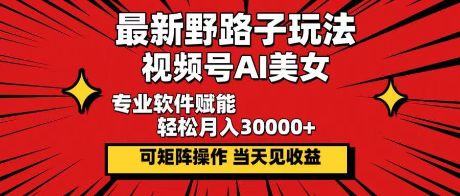 （12798期）最新野路子玩法，视频号AI美女，当天见收益，轻松月入30000＋-九节课