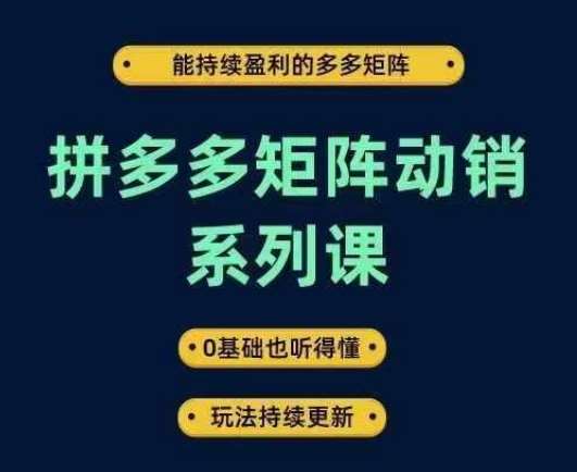 拼多多矩阵动销系列课，能持续盈利的多多矩阵，0基础也听得懂，玩法持续更新-九节课