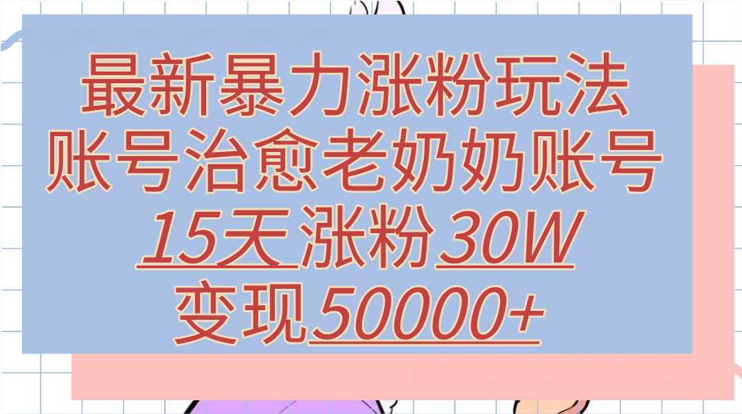 最新暴力涨粉玩法，治愈老奶奶账号，15天涨粉30W，变现50000+【揭秘】-九节课