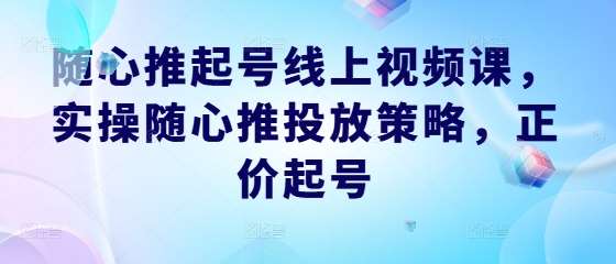 随心推起号线上视频课，实操随心推投放策略，正价起号-九节课