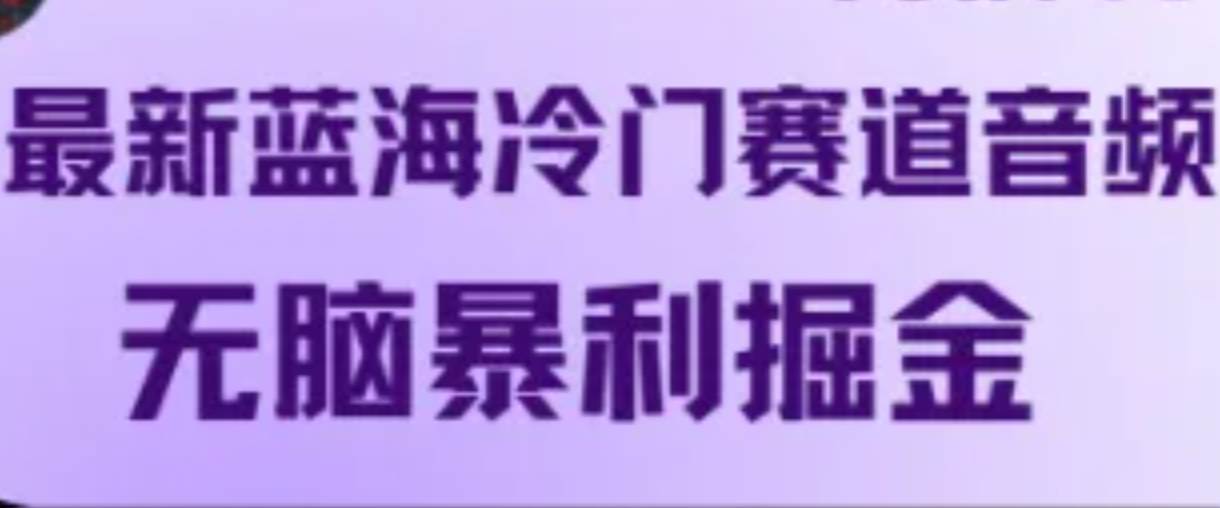 最新蓝海冷门赛道音频，无脑暴利掘金-九节课