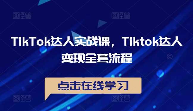 TikTok达人实战课，Tiktok达人变现全套流程-九节课