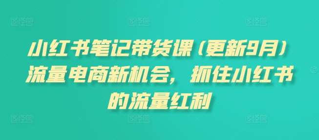 小红书笔记带货课(更新9月)流量电商新机会，抓住小红书的流量红利-九节课