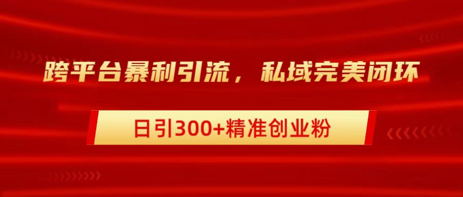 跨平台暴力引流，私域完美闭环，日引300+精准创业粉-九节课