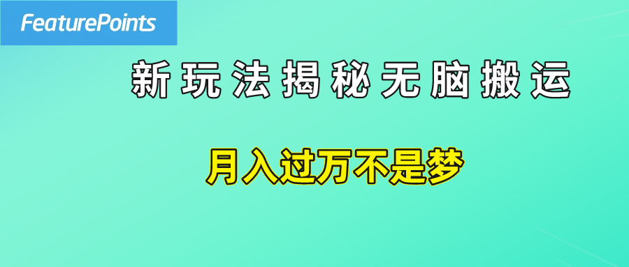 简单操作，每天50美元收入，搬运就是赚钱的秘诀！-九节课