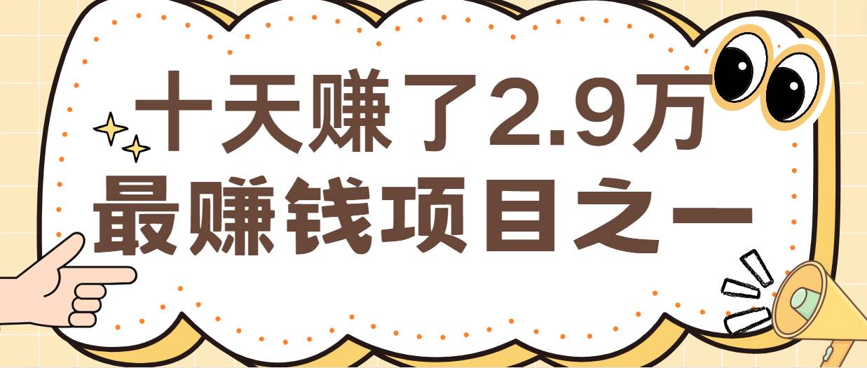 闲鱼小红书最赚钱项目之一，纯手机操作简单，小白必学轻松月入6万+-九节课