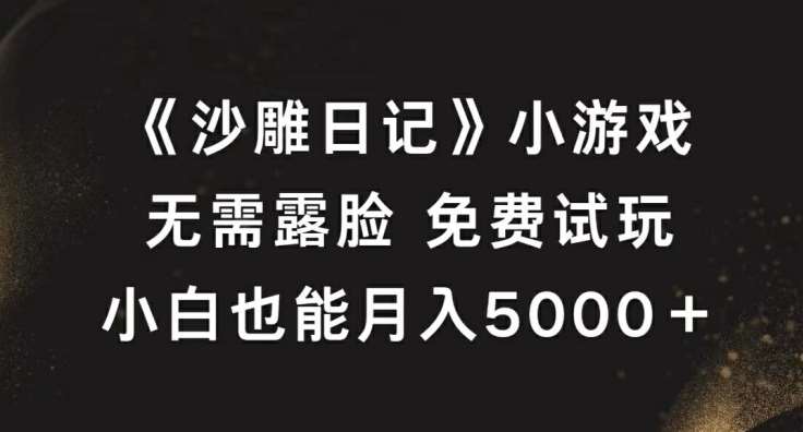 《沙雕日记》小游戏，无需露脸免费试玩，小白也能月入5000+【揭秘】-九节课