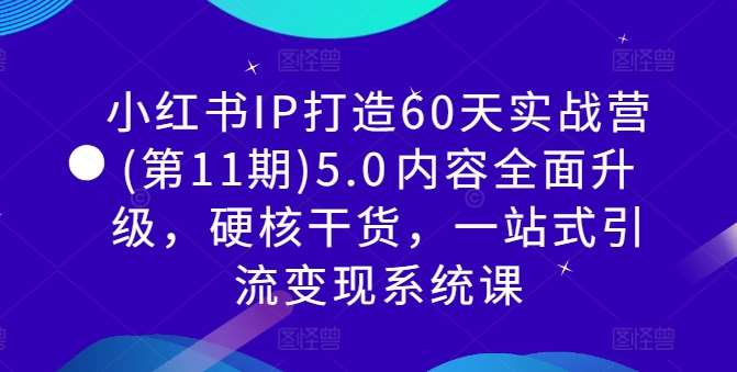 小红书IP打造60天实战营(第11期)5.0​内容全面升级，硬核干货，一站式引流变现系统课-九节课